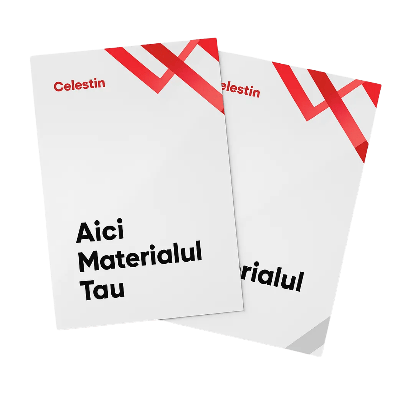 Celestin mockup (16)
