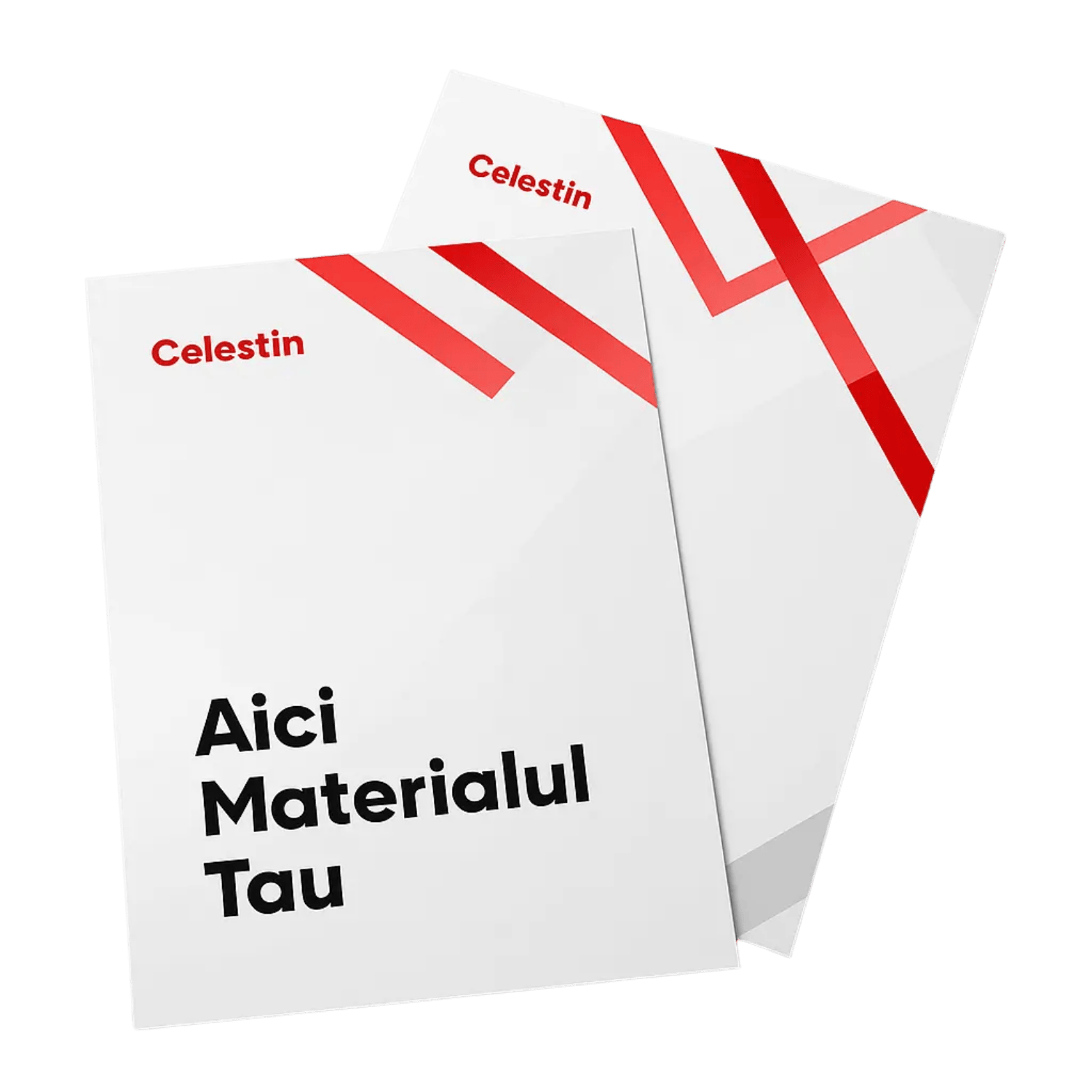 Celestin mockup (25)