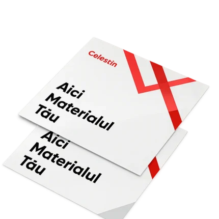 Cărți de vizită carton standard