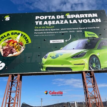 Mesh-uri de mari dimensiuni