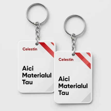 Brelocuri și insigne